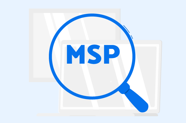 MSP Roles and Responsibilities