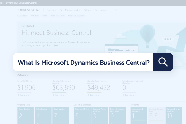 Microsoft Dynamics Business Central is an all-encompassing CRM and ERP software. 