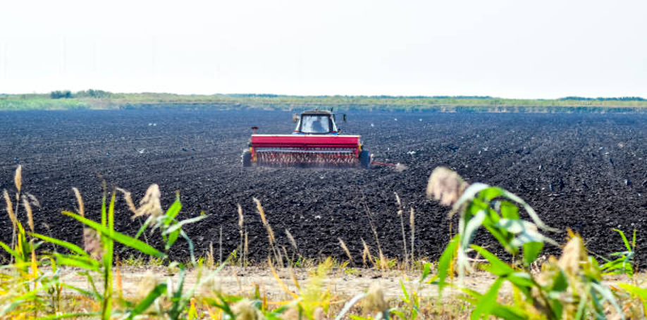 ag image illustration for ERP agricultural solution