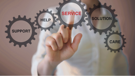 Professional Services